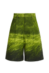Bermuda Campos